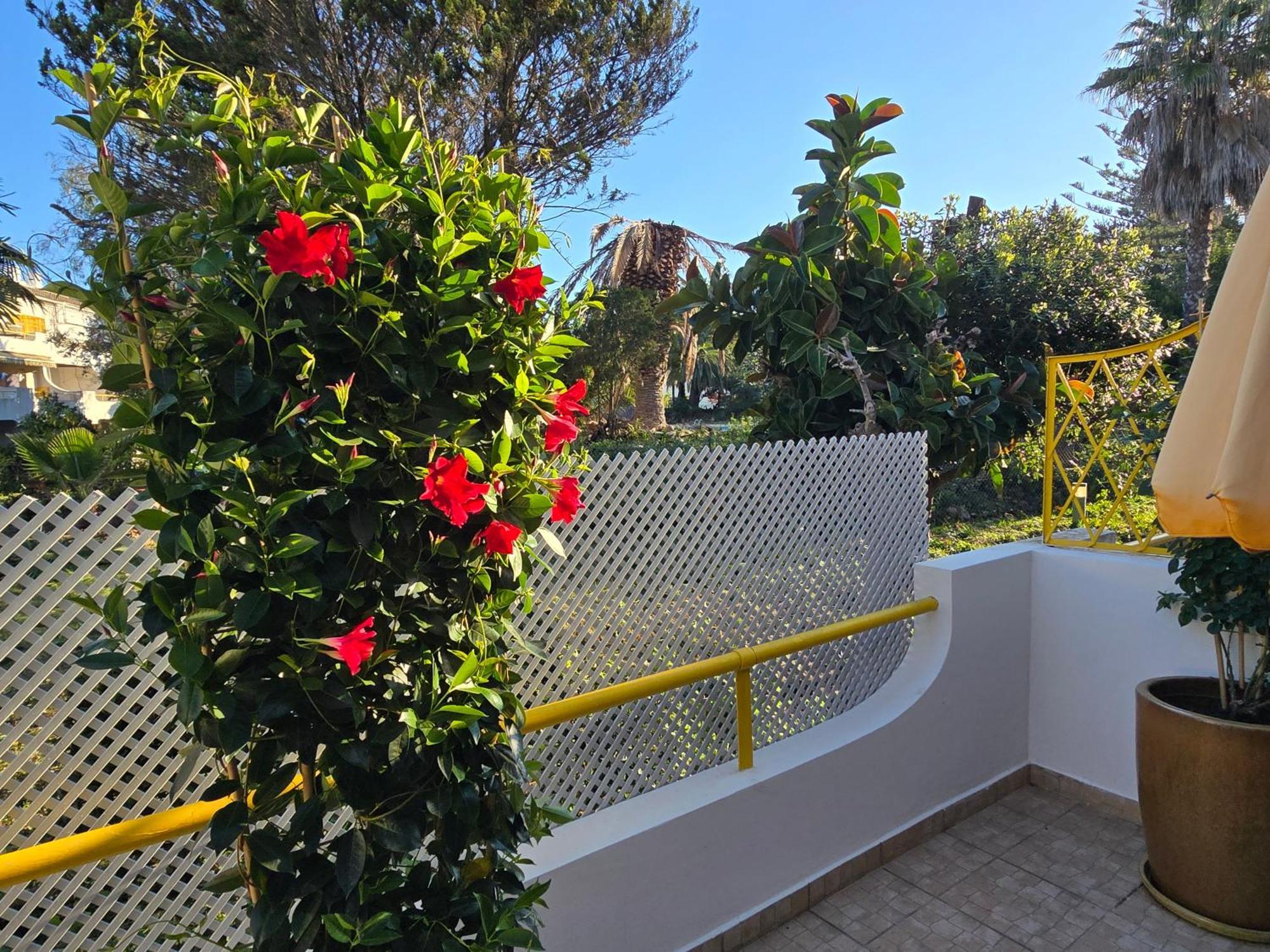Apartamento Victoria Vilamoura Luaran gambar